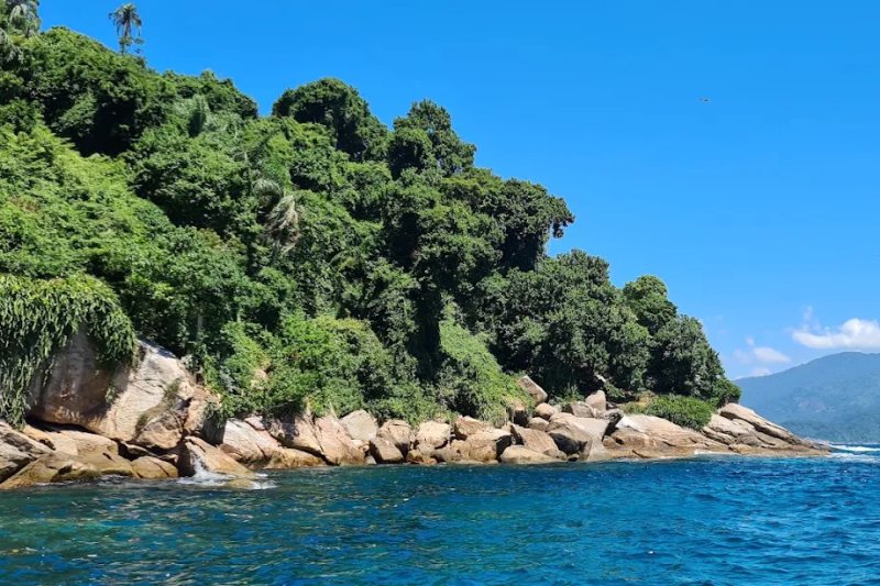 Ilha de Jorge Grego